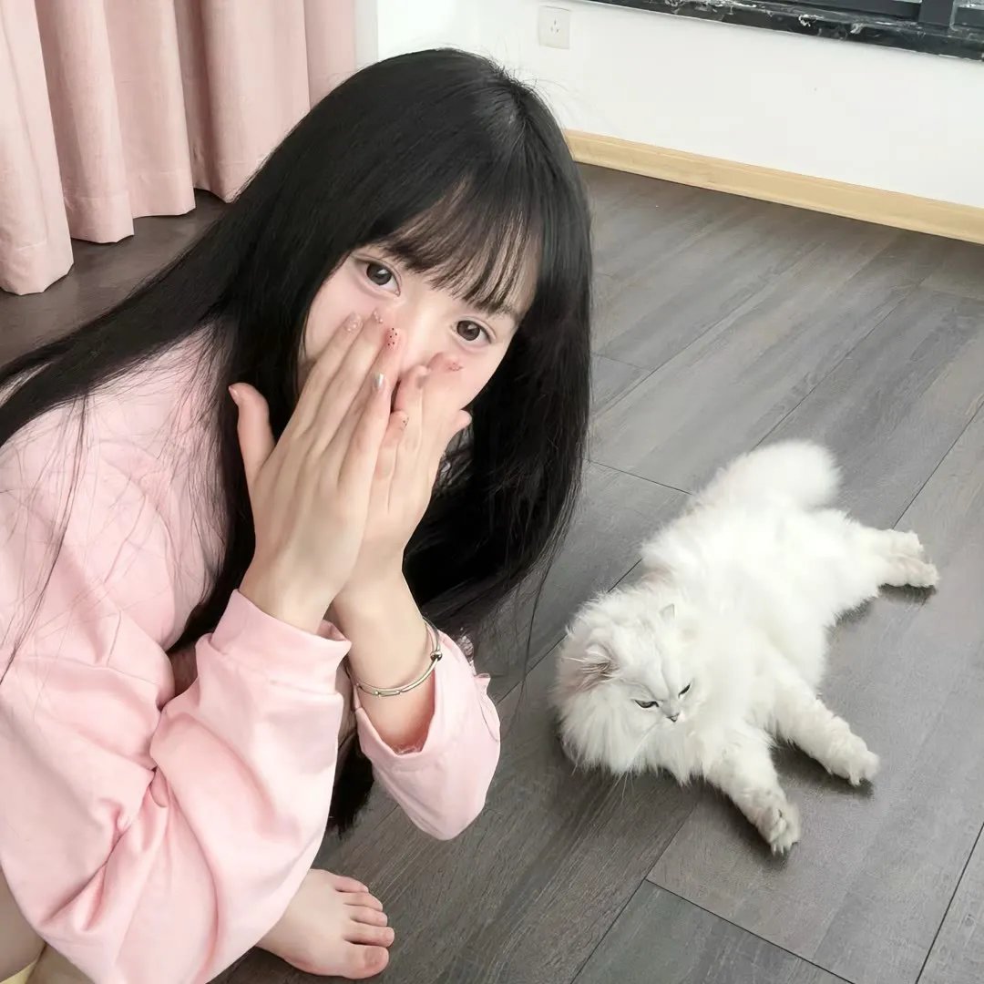 2026热门内容精选第004期