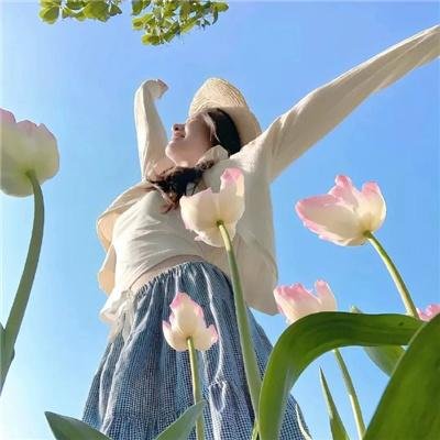 2026热门内容精选第005期